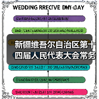 新疆维吾尔自治区第十四届人民代表大会常务委员会委员张国华接受纪律审查和监察调查