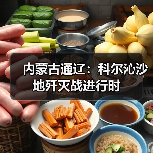 内蒙古通辽：科尔沁沙地歼灭战进行时