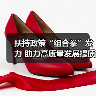 扶持政策“组合拳”发力 助力高质量发展提质升级（图4）