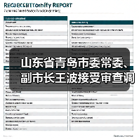 山东省青岛市委常委、副市长王波接受审查调查（图4）