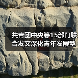 共青团中央等15部门联合发文深化青年发展型城市建设（图4）