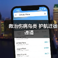 救治伤病鸟类 护航迁徙通道（图2）