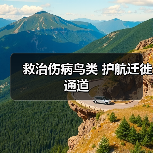 救治伤病鸟类 护航迁徙通道（图3）
