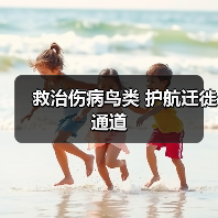 救治伤病鸟类 护航迁徙通道（图4）