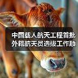 中国载人航天工程首批外籍航天员选拔工作顺利完成（图4）