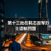 第十三批在韩志愿军烈士遗骸回国（图4）