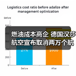 燃油成本高企 德国汉莎航空宣布取消两万个航班