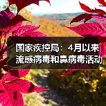 国家疾控局：4月以来流感病毒和鼻病毒活动水平呈上升趋势（图3）
