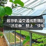 数条轨道交通线路刷新“进度条”驶上“快车道” 百姓获得感提升向优向好（图3）