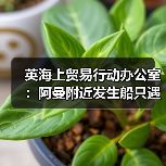 英海上贸易行动办公室：阿曼附近发生船只遇袭事件（图4）