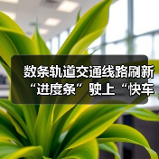 数条轨道交通线路刷新“进度条”驶上“快车道” 百姓获得感提升向优向好（图4）