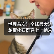 世界首次！全球最大恐龙蛋化石群穿上“纳米防护服”（图4）