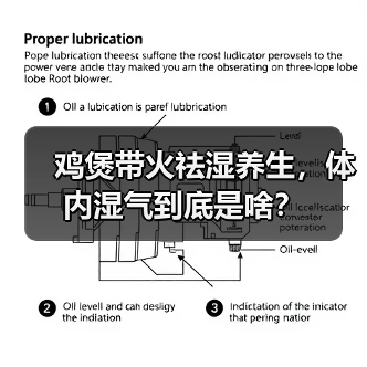 鸡煲带火祛湿养生，体内湿气到底是啥？（图2）