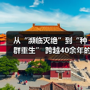 从“濒临灭绝”到“种群重生” 跨越40余年的保护行动让“荒野精灵”重返家园（图3）