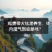 鸡煲带火祛湿养生，体内湿气到底是啥？