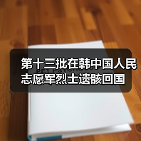 第十三批在韩中国人民志愿军烈士遗骸回国（图3）