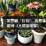 发票藏“红包” 消费增期待（大数据观察）（图3）