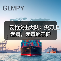 云豹突击大队:尖刀上起舞,无声处守护(图1) 云豹突击大队:尖刀上起舞,无声处守护(图1)