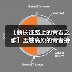 【新长征路上的青春之歌】雪域高原的青春接力 在世界屋脊书写教育报国答卷（图3）