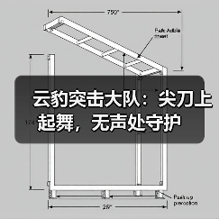 云豹突击大队：尖刀上起舞，无声处守护（图2）