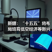 新疆:“十五五”将布局培育低空经济等新兴产业(图4) 新疆:“十五五”将布局培育低空经济等新兴产业(图4)