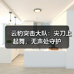 云豹突击大队：尖刀上起舞，无声处守护（图3）