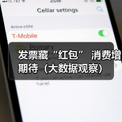 发票藏“红包” 消费增期待（大数据观察）（图4）