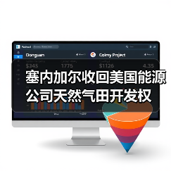 塞内加尔收回美国能源公司天然气田开发权