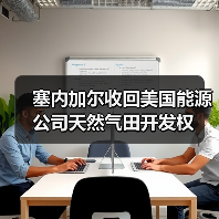 塞内加尔收回美国能源公司天然气田开发权（图3）