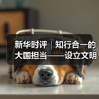 新华时评｜知行合一的大国担当——设立文明对话国际日的时代意义系列评论之二（图4）