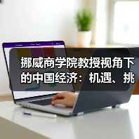 挪威商学院教授视角下的中国经济:机遇、挑战与全球影响(图4) 挪威商学院教授视角下的中国经济:机遇、挑战与全球影响(图4)
