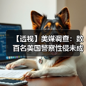 【透视】美媒调查:数百名美国警察性侵未成年人,却逍遥法外(图3) 【透视】美媒调查:数百名美国警察性侵未成年人,却逍遥法外(图3)