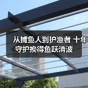 从捕鱼人到护渔者 十年守护换得鱼跃清波