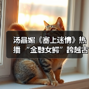 汤晶媚《塞上迷情》热播 “金融女鳄”跨越古今寻宝探险(图3) 汤晶媚《塞上迷情》热播 “金融女鳄”跨越古今寻宝探险(图3)