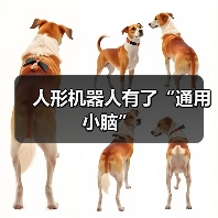 人形机器人有了“通用小脑”（图4）