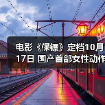 电影《保镖》定档10月17日 国产首部女性动作爽片飒爽来袭！（图4）