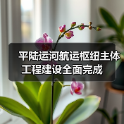 平陆运河航运枢纽主体工程建设全面完成（图4）