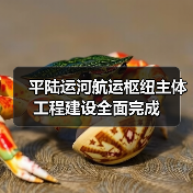 平陆运河航运枢纽主体工程全面完工