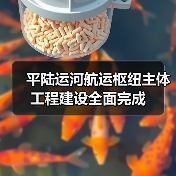 平陆运河航运枢纽主体工程建设全面完成（图2）