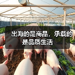 出海的是商品,承载的是品质生活(图1) 出海的是商品,承载的是品质生活(图1)
