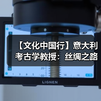 【文化中国行】意大利考古学教授：丝绸之路是文化融合最具代表性的例子之一（图4）