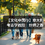 【文化中国行】意大利考古学教授：丝绸之路是文化融合最具代表性的例子之一（图2）