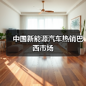 中国新能源汽车热销巴西市场（图2）