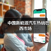 中国新能源汽车热销巴西市场（图4）