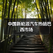 中国新能源汽车热销巴西市场（图3）