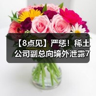 【8点见】严惩！稀土公司副总向境外泄露7项国家秘密（图2）