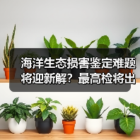 海洋生态损害鉴定难题将迎新解？最高检将出台办案指引（图4）
