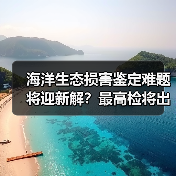 海洋生态损害鉴定难题将迎新解？最高检将出台办案指引（图3）