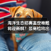 海洋生态损害鉴定难题将迎新解？最高检将出台办案指引（图2）