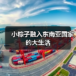小粽子融入东南亚国家的大生活（图4）